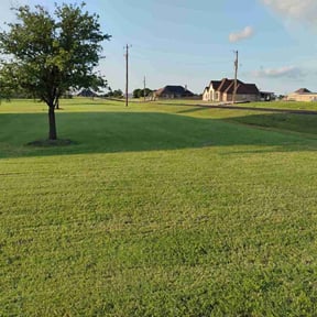 yard maintenance by Uno Drywall and Painting Services ,LLC dba Franklin McCarter reviewed on August 17, 2025