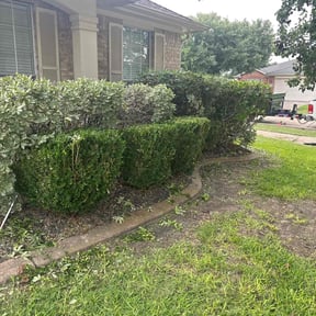 Bush Trimming by Family first lawn service reviewed on August 17, 2025