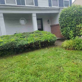 Flower Bed Weeding by Farley's Lawn &amp; Land Solutions reviewed on June 24, 2026