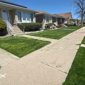 yard work by All Schuch Up Home Projects reviewed on August 21, 2025