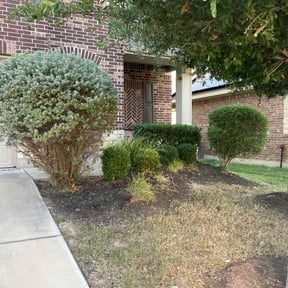 Bush Trimming by Austin Joe's Lawn Company reviewed on August 16, 2025