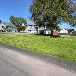 yard care by Pleasant Rowe Lawn Care reviewed on August 18, 2025