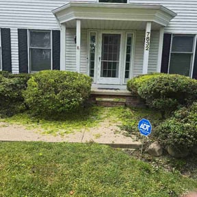 Bush Trimming by ILR Lawncare reviewed on August 2, 2026