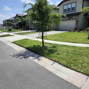 grass maintenance by A Closer Look Residential Inspections LLC reviewed on March 22, 2024