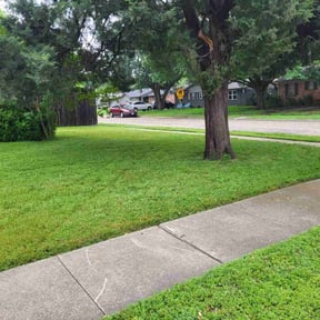 landscaping services by Primos Grow&Mow reviewed on August 15, 2025