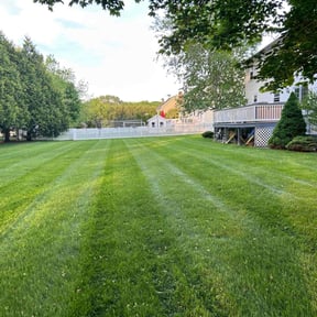 landscape maintenance by Safe clean LLC reviewed on August 15, 2025