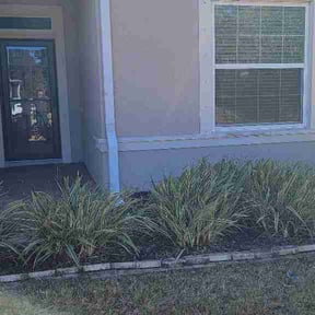 Flower Bed Weeding by FRL Landscaping reviewed on November 9, 2023