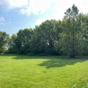 landscaping services by Babcock Enterprises LLC reviewed on August 17, 2025