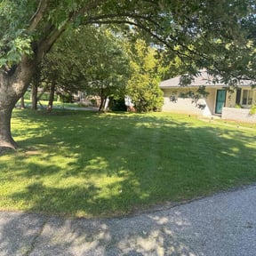 grass cutting by Precise Lines Lawn Care reviewed on August 17, 2025