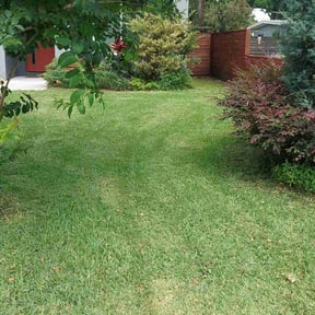 turf maintenance by ADG Lawncare Services, LLC reviewed on October 10, 2023