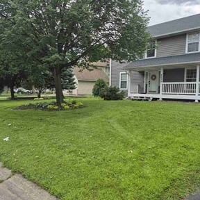 yard service by Osment Lawn Care reviewed on August 16, 2025