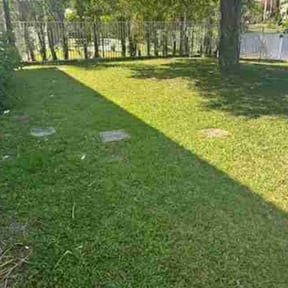 grass maintenance by McNeil's lawn care & maintenance reviewed on May 12, 2024