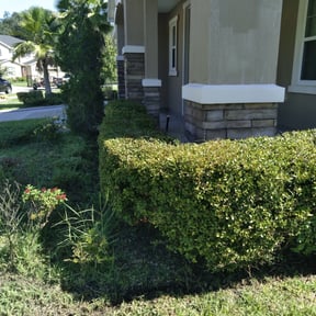Bush Trimming by Neighborhood Mow & Go LLC reviewed on August 21, 2025