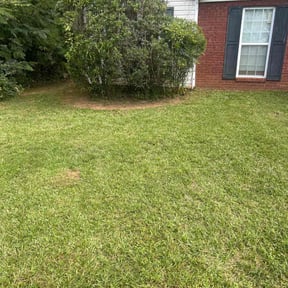 Bush Trimming by JW Lawn Care Service reviewed on August 19, 2025