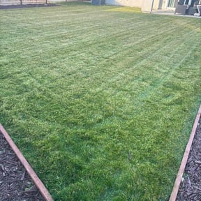 yard care by Divine Land Care reviewed on August 17, 2025