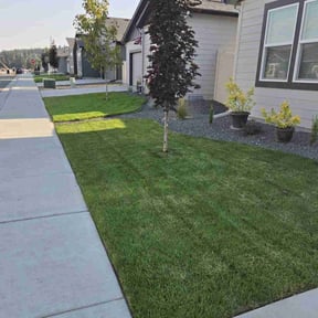 turf care by Tamara butler reviewed on April 17, 2025