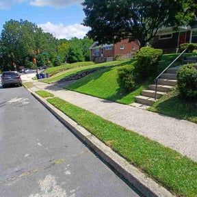 yard maintenance by LOCAL LAWN SERVICE (Delco PA) reviewed on August 20, 2025