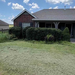 Bush Trimming by Green Thumb Agostini Lawn Care and Landscaping reviewed on July 12, 2026