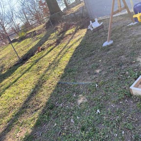 Leaf Removal by RnR Homes "Legends Lawncare" reviewed on August 20, 2025