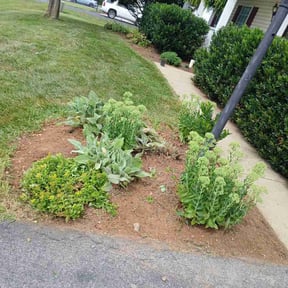 Flower Bed Weeding by EV Great Valley Landscaping,LLC. reviewed on November 30, 2025