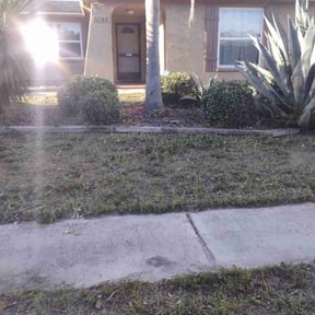 Bush Trimming by Hargett lawn services reviewed on January 7, 2026