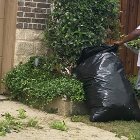 Bush Trimming by Jusus Lawn Care LLC reviewed on August 16, 2025