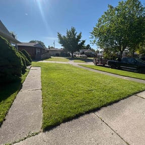 lawn care services by CJ lawnscapes reviewed on August 15, 2025