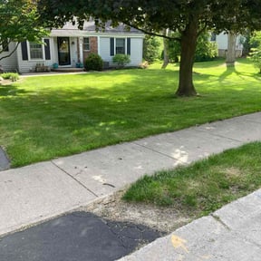 grass cutting by Empire Lawn Maintenance reviewed on September 26, 2024