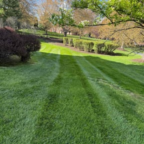 gardening service by Sosa's Lawn Care &amp; Design LLC reviewed on November 15, 2024