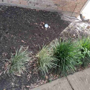 Flower Bed Weeding by T&amp;A lawn care reviewed on August 19, 2026