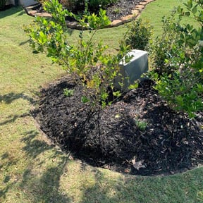 Flower Planting by  reviewed on June 7, 2025