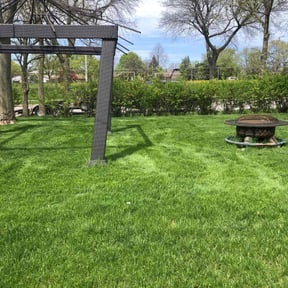 gardening service by E's Lawn Care & Services reviewed on August 17, 2025