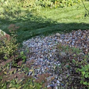 Flower Bed Weeding by Dallas Enterprise LLC Lawn Care Services reviewed on November 23, 2025