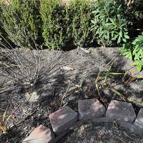 Flower Bed Weeding by EP Remodeling LLC reviewed on April 14, 2026
