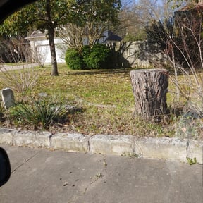 Bush Trimming by (PFGS) PO FOLKZ GARDEN Services reviewed on August 15, 2025