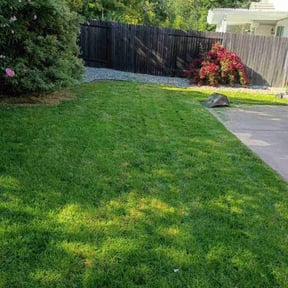 yard maintenance by Prestige Lawn Landscape & More LLC reviewed on August 18, 2025