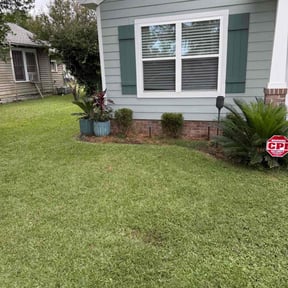 Bush Trimming by Forcier Property Management reviewed on November 10, 2025