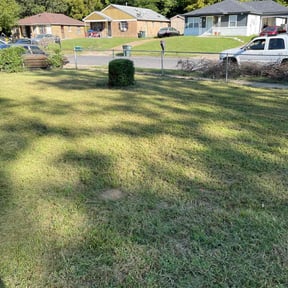 Bush Trimming by SK Services reviewed on August 19, 2025