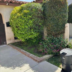 Bush Trimming by José Peraza All House Service reviewed on May 8, 2024