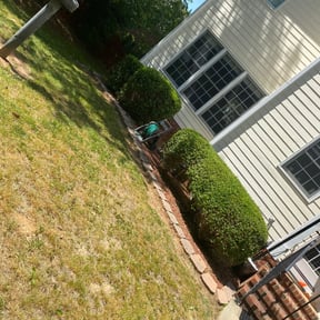 Bush Trimming by DKA handyman service reviewed on August 21, 2025
