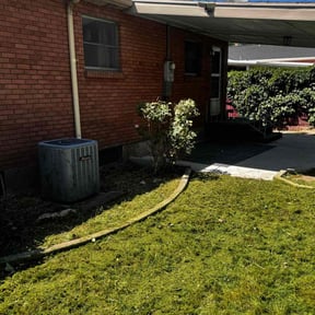 Bush Trimming by Texas Pride Lawncare reviewed on August 20, 2025