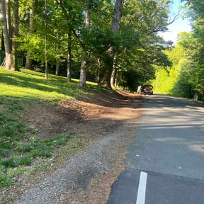 Leaf Removal by 11 lawns reviewed on May 4, 2026