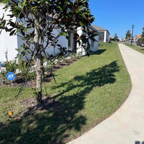 landscape maintenance by Grota Get It Done reviewed on August 15, 2025