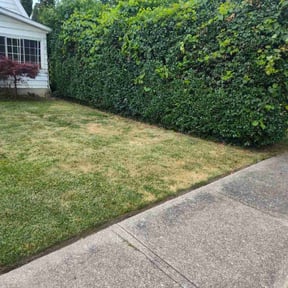 Bush Trimming by Angel's landscaping reviewed on August 20, 2025