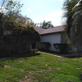 Bush Trimming by Hanna's Landscape & Lawn Care reviewed on August 16, 2025