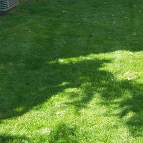 grass cutting by HopeScape reviewed on April 19, 2024