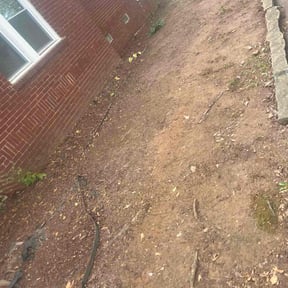 Leaf Removal by One Tough Mama Roofing and Landscaping LLC reviewed on December 7, 2025