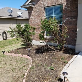 Bush Trimming by Midwest Ecoscapes reviewed on August 17, 2025