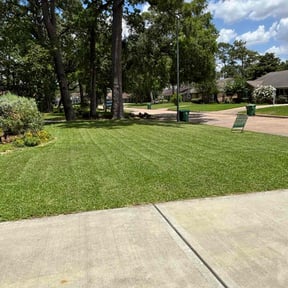 gardening service by Uptown Lawn Care reviewed on August 21, 2025