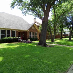 yard maintenance by TS LAWN CARE LLC reviewed on August 15, 2025